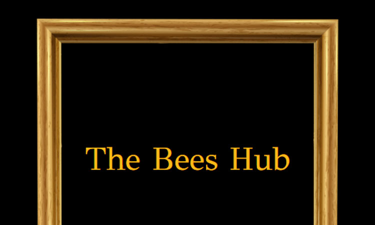 The Bees Hub