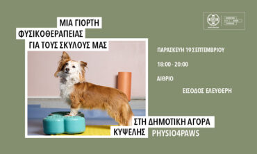 Μία γιορτή φυσικοθεραπείας για τους σκύλους μας στη Δημοτική Αγορά της Κυψέλης