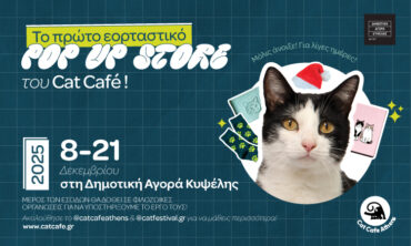 Cat Café Athens
