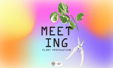 Πολλαπλασιασμός φυτών στο νερό με τους hōkō