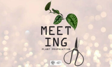 Πολλαπλασιασμός φυτών στο νερό με τους hōkō